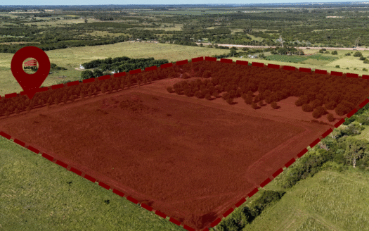 CAMPO PRODUCTIVO EN VENTA – Nueces de Pecan