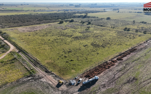 CAMPO EN VENTA – Herrera